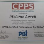 Best Certified Pet Sitter in Boulder CO